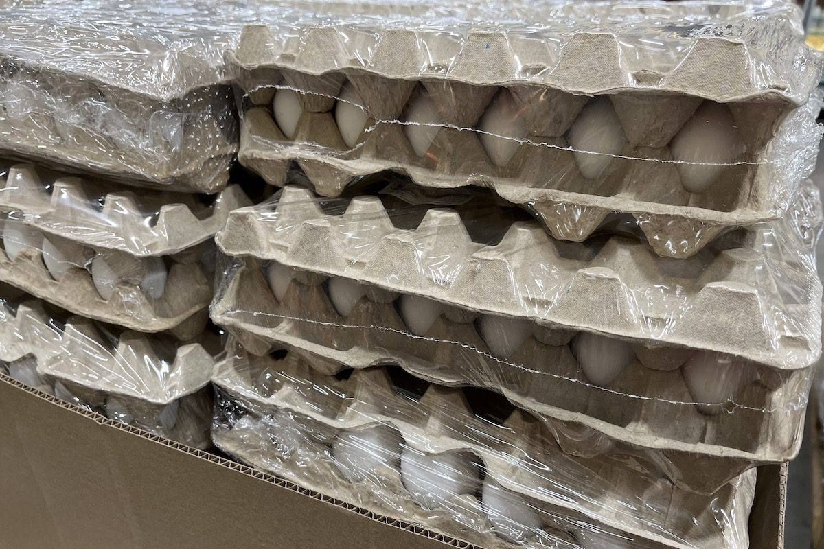 Rising Egg Prices in Moscow and Across Russia: The Impact of Soaring Costs on Consumers